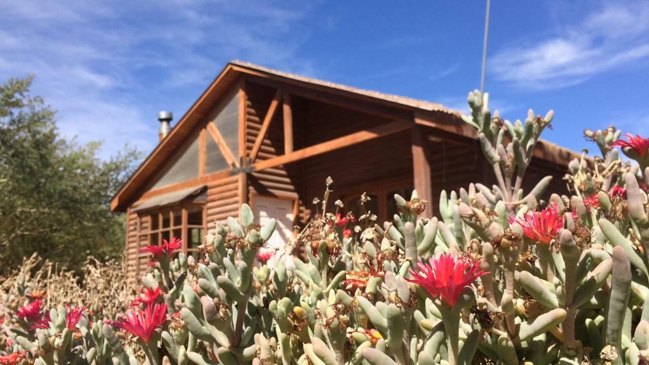 Cabanas Dona Juanita San Pedro de Atacama Ngoại thất bức ảnh